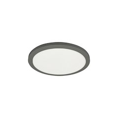 20W Matte Black Flush Mount