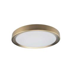 24W Flushmount, AGB , WH Diffuser
