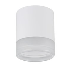 15W Matte White Flush Mount w/ Clear & Frosted Acrylic Diffuser