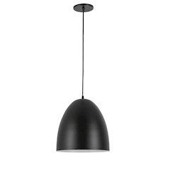 1 Light Pendant in Matte Black w/ in Matte Black Metal Shade