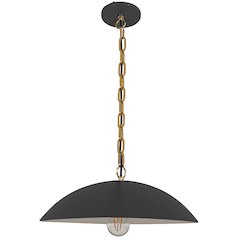 1 Light Pendant in Matte Black w/ Aged Brass Chain
