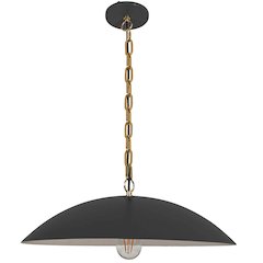 1 Light Pendant in Matte Black w/ Aged Brass Chain
