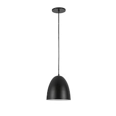 1 Light Pendant in Matte Black w/ in Matte Black Metal Shade