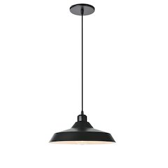 1 Light Matte Black Pendant