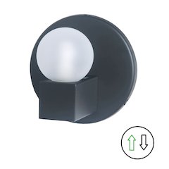 1 Light Matte Black Vanity w/ Frosted Glass