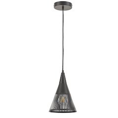 1 Light Pendant in Matte Black
