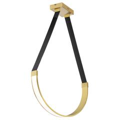 30W Pendant, AGB, WH Silicone Diff