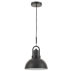 1 Light Pendant in Matte Black