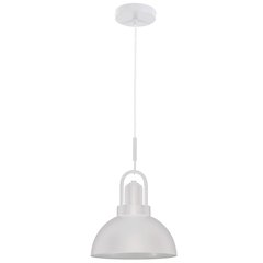 1 Light Pendant in Matte White