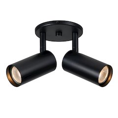 2 Light Spot Light in Matte Black