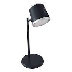 6W Table Lamp in Matte Black w/ Detachable Head