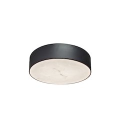 20W Flush Mount in Matte Black w/ Alabaster Diffuser