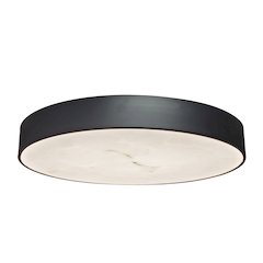 40W Flush Mount in Matte Black w/ Alabaster Diffuser
