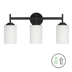 3 Light Vanity in Matte Black