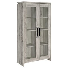 Modern 2-Door Tall Cabinet, Grey Driftwood, Glass Doors, Storage