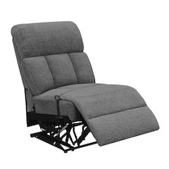 Modern/Contemporary Armless Recliner