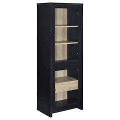 Denison 67-inch 2-door Media Tower Storage Cabinet Black