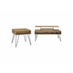 Fanning 2-piece Lift Top Coffee and End Table Set Golden Oak