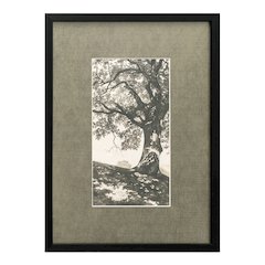Arise Framed Print