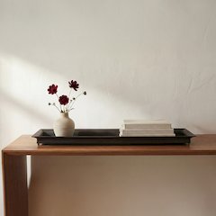 Orion Tray