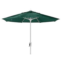 9' Oct Market 8 Rib Crank Lift with Forest Green Marine Grade Solution Canopy