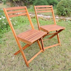 Acacia Wood Folding Chairs (Set of 2), Stain