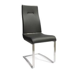 Black Dining Chair With Brushed Stainless Steel, Set Of 2