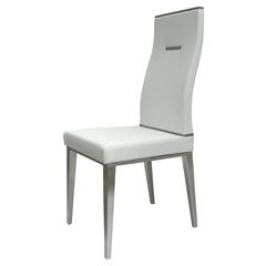 Dining Chair With Brushed Stainless Steel, Set Of 4