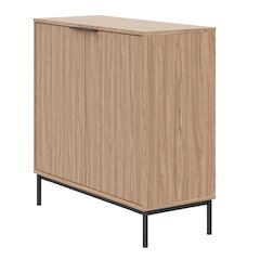 Slim 2-Door Storage Cabinet