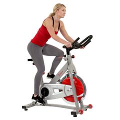 Pro II Indoor Cycling Bike with Device Mount