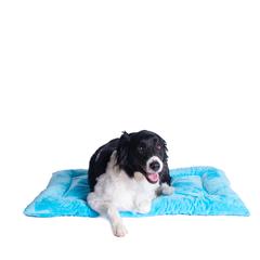 Large Pet Bed Mat With Poly Fill Cushion In Sky Blue