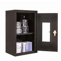 400 Series Wallmount SV Storage Cabinet, 16"W x 12"D x 26"H, 708 Midnight Ebony, Single Tier, Safety-View Door, 1-Wide, Knock-down