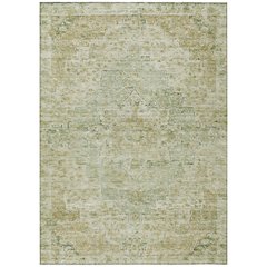 Machine Washable Indoor/Outdoor Chantille Sage 3' x 5' Rug