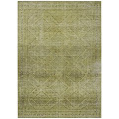 Machine Washable Indoor/Outdoor Chantille ACN2060 Aloe 3' x 5' Rug