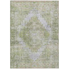 Machine Washable Indoor/Outdoor Chantille ACN2140 Aloe 3' x 5' Rug
