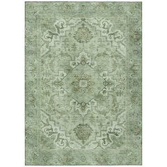 Machine Washable Indoor/Outdoor Chantille ACN2164 Aloe 3' x 5' Rug