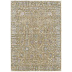 Machine Washable Indoor/Outdoor Chantille ACN2231 Gold 3' x 5' Rug