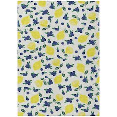 Machine Washable Indoor/Outdoor Chantille ACN2354 Ivory 3' x 5' Rug