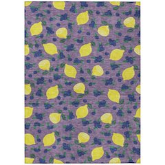 Machine Washable Indoor/Outdoor Chantille ACN2354 Purple 3' x 5' Rug
