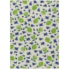 Machine Washable Indoor/Outdoor Chantille ACN2354 Ivory 3' x 5' Rug