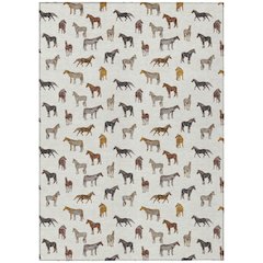 Machine Washable Indoor/Outdoor Chantille ACN2521 Ivory 3' x 5' Rug