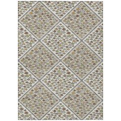 Machine Washable Indoor/Outdoor Chantille ACN2579 Ivory 3' x 5' Rug