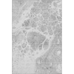 Premium Machine Washable Mayfield AMF682 Gray 3' x 5' Rug