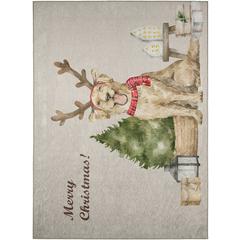 Indoor/Outdoor Cozy Winter ACW38 Taupe Washable 3' x 5' Rug