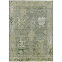 Machine Washable Indoor/Outdoor Chantille ACN2025 Sage 5' x 7'6" Rug