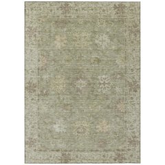 Machine Washable Indoor/Outdoor Chantille ACN2051 Sage 5' x 7'6" Rug