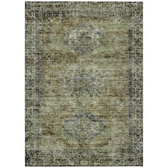 Machine Washable Indoor/Outdoor Chantille ACN2170 Aloe 5' x 7'6" Rug