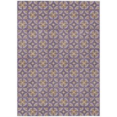 Machine Washable Indoor/Outdoor Chantille ACN2552 Purple 5' x 7'6" Rug