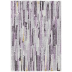 Machine Washable Indoor/Outdoor Chantille ACN2255 Purple 8' x 10' Rug
