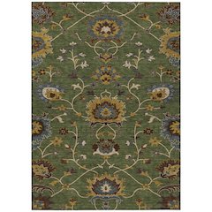 Machine Washable Indoor/Outdoor Chantille ACN2290 Green 8' x 10' Rug